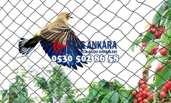 ANKARA GÜVENLİK FİLESİ - 0507 073 06 58 - FİLE ANKARA BALKON GÜVENLİK FİLESİ Kuş Önleme Filesi, Kuş önleme Ağı