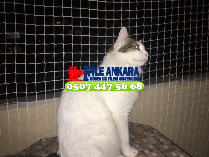 Kırıkkale Bahşili Kedi Koruma Filesi 0507 073 06 58