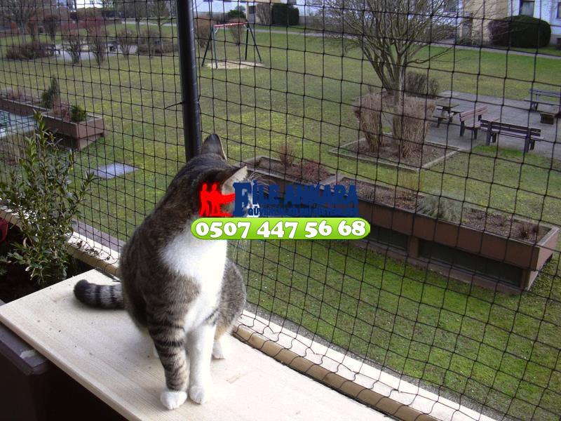 Trabzon Sürmene Kedi Koruma Filesi 0507 073 06 58