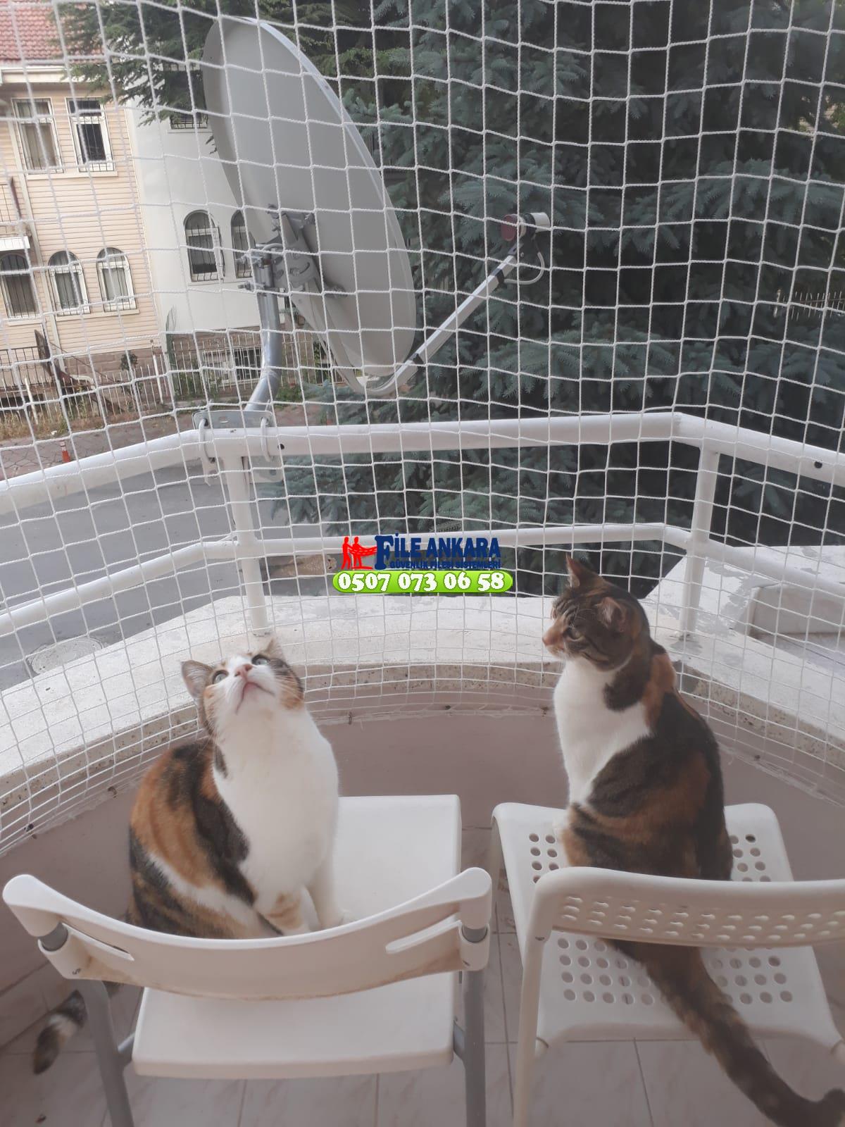 Kedi Balkon Filesi Ankara Satış ve Montajı