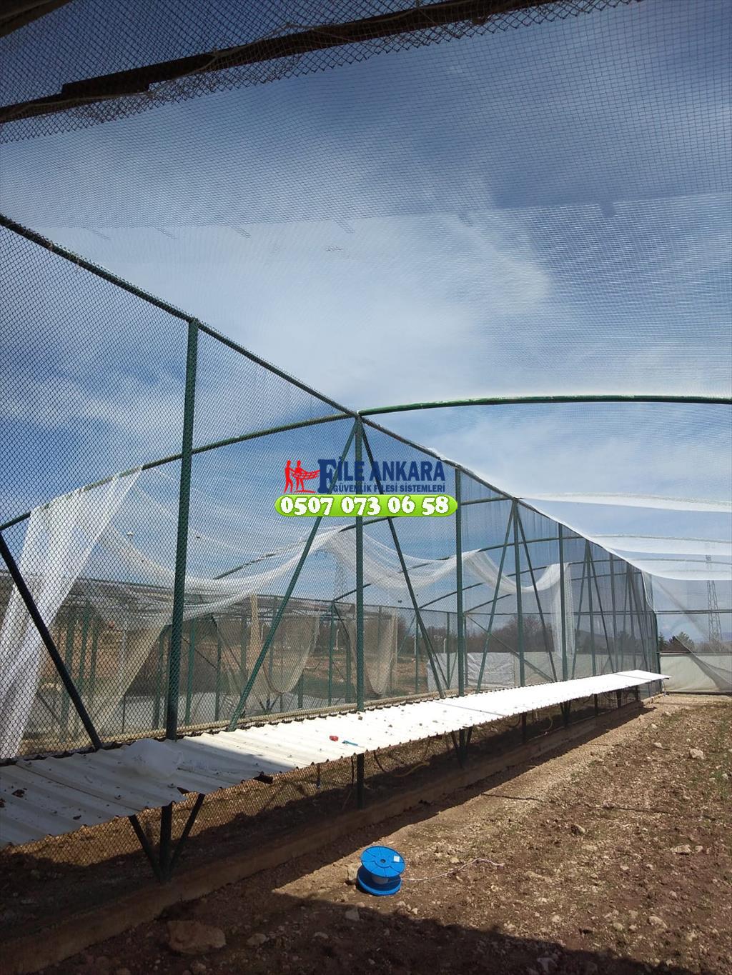Tarım ve orman bakanlığı keklik üretim tesisi Malatya 0507 447 56 68