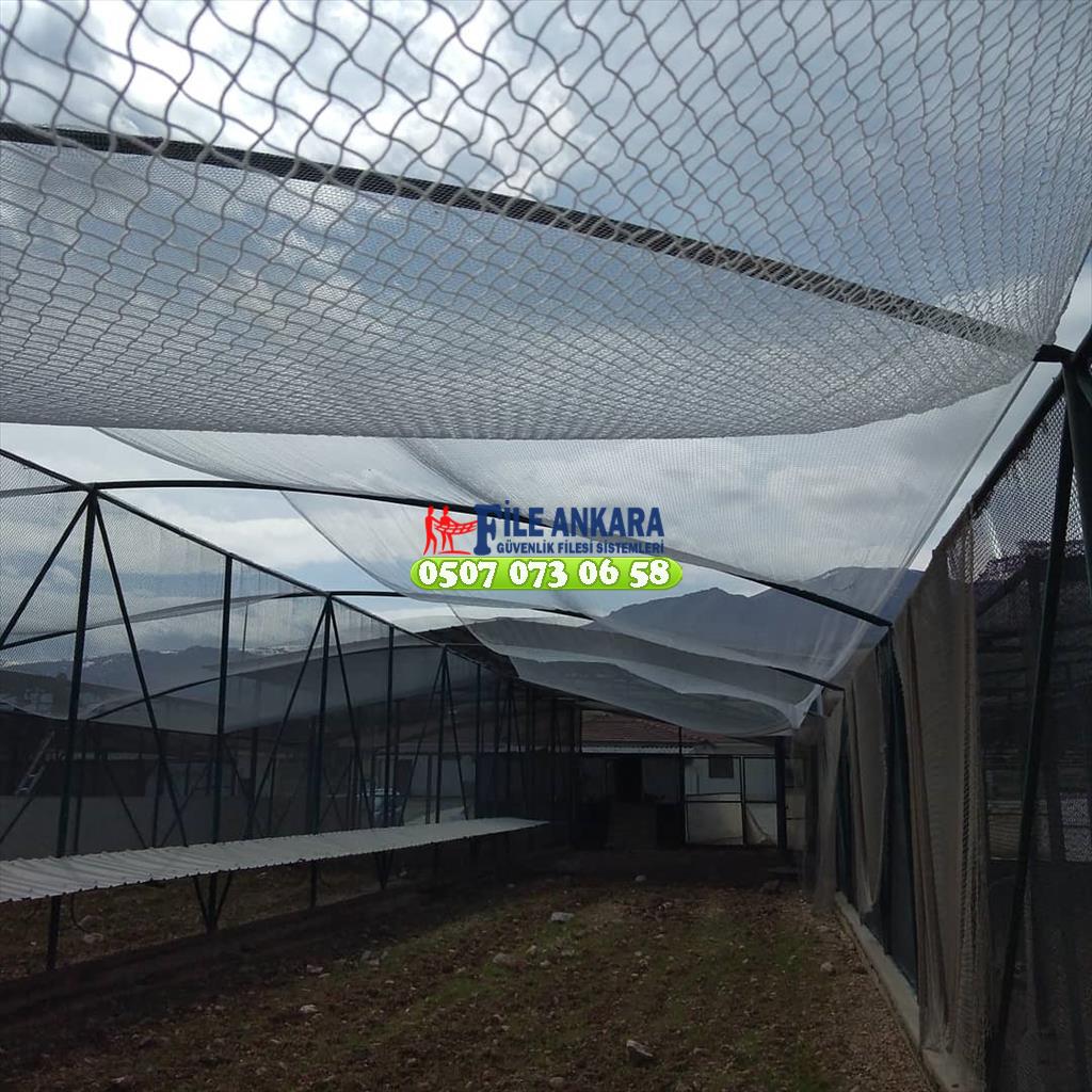 Tarım ve orman bakanlığı keklik üretim tesisi Malatya 0507 447 56 68