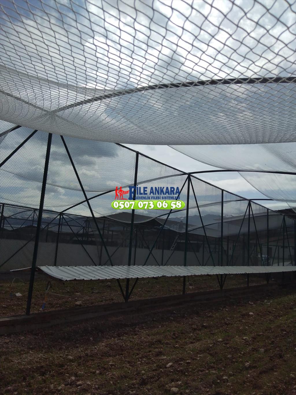 Tarım ve orman bakanlığı keklik üretim tesisi Malatya 0507 447 56 68