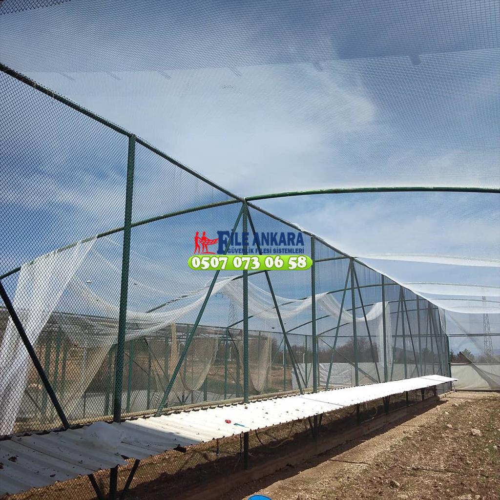 Tarım ve orman bakanlığı keklik üretim tesisi Malatya 0507 447 56 68