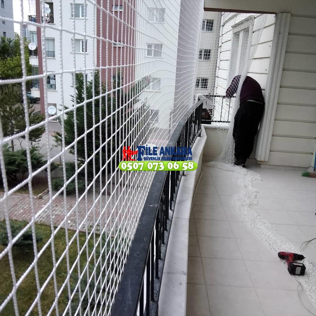 Ankara Kedi koruma filesi fileankara.com liderfile.com 0507 447 56 68