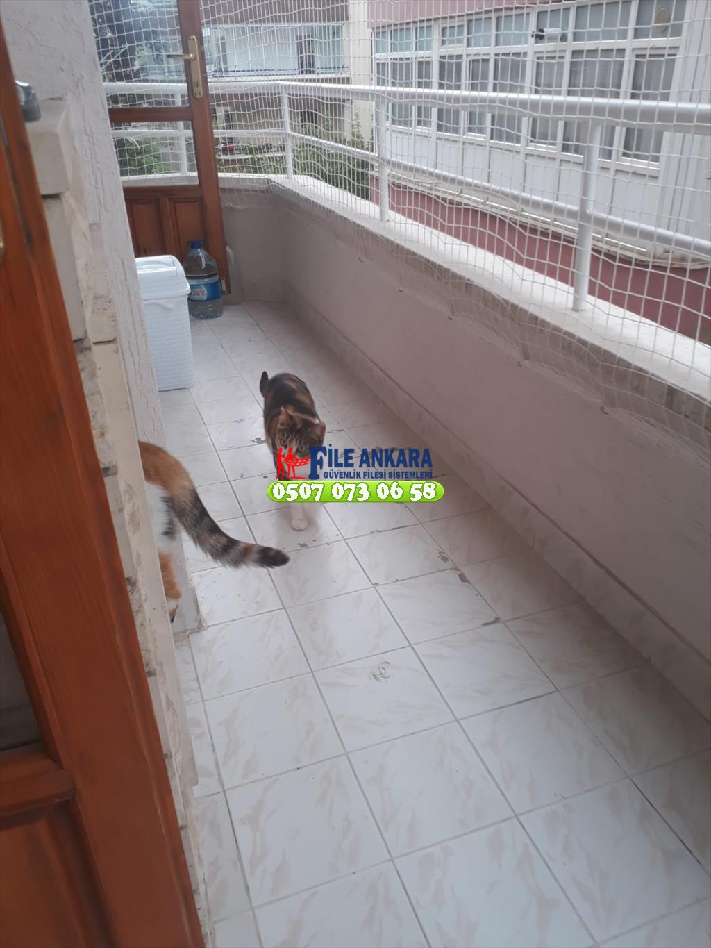 Kedi koruma filesi fileankara.com liderfile.com 0507 447 56 68