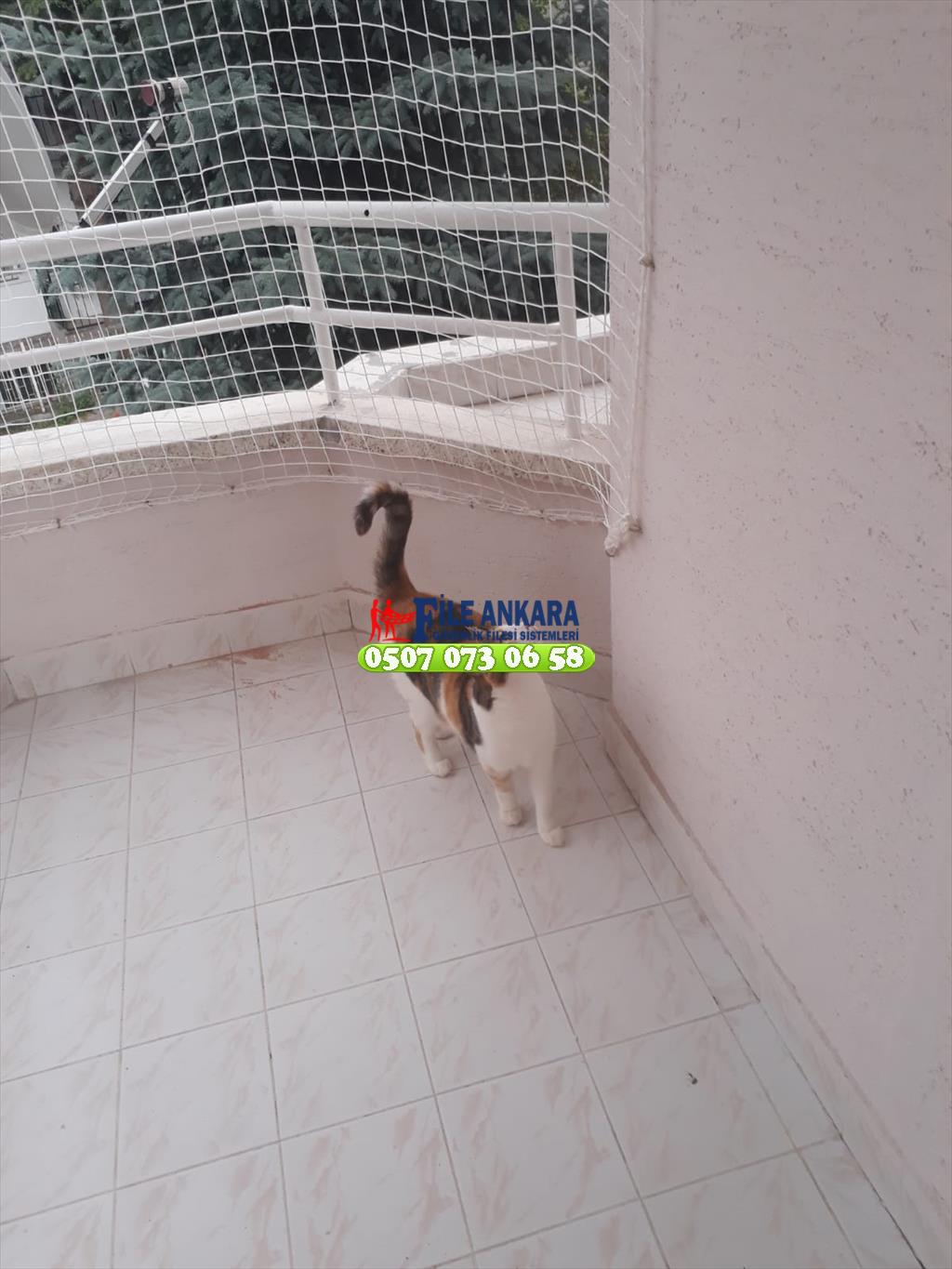 Kedi koruma filesi fileankara.com liderfile.com 0507 447 56 68