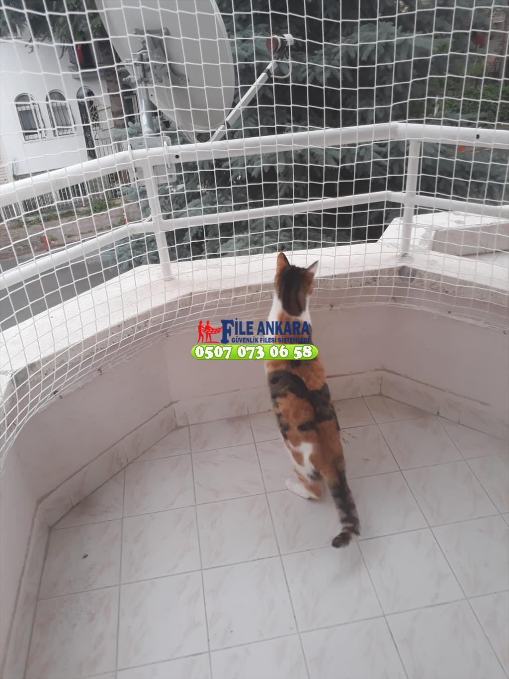 Kedi koruma filesi fileankara.com liderfile.com 0507 447 56 68