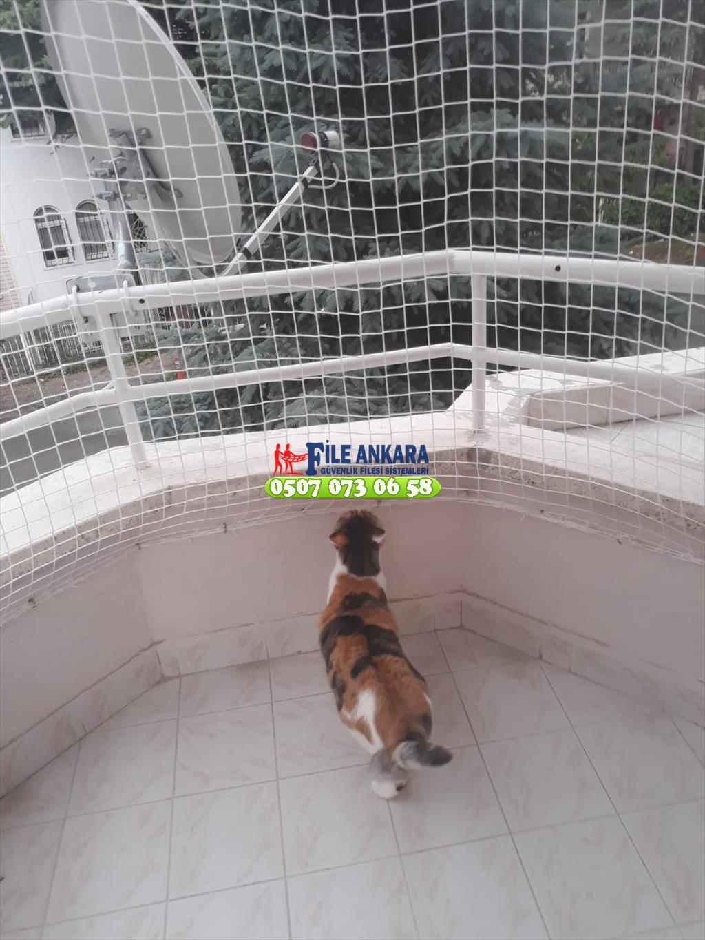 Kedi koruma filesi fileankara.com liderfile.com 0507 447 56 68
