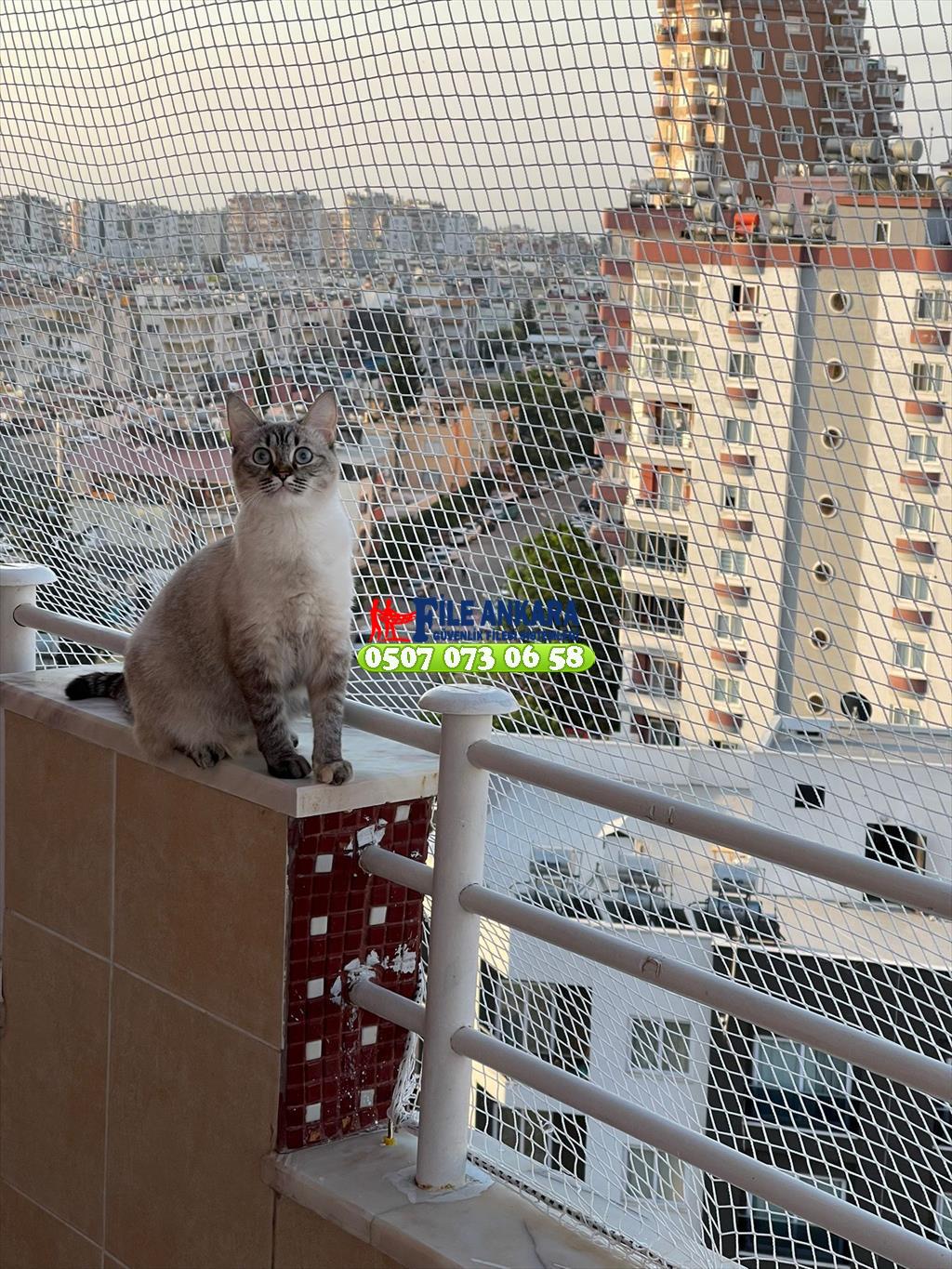 Balkon Filesi Kedi Koruma Filesi Kedi Filesi Uygulaması 0507 447 56 68