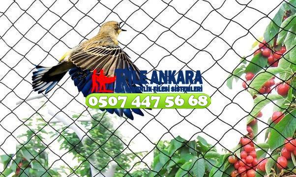   Kuş Filesi Kuşkonmaz Filesi 0507 447 56 68