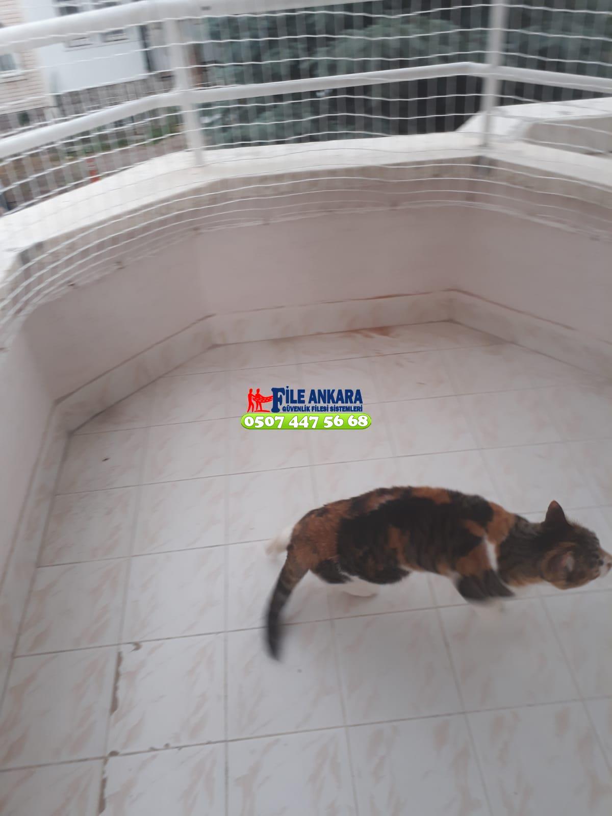   Kedi Balkon Filesi Ankara 0507 447 56 68