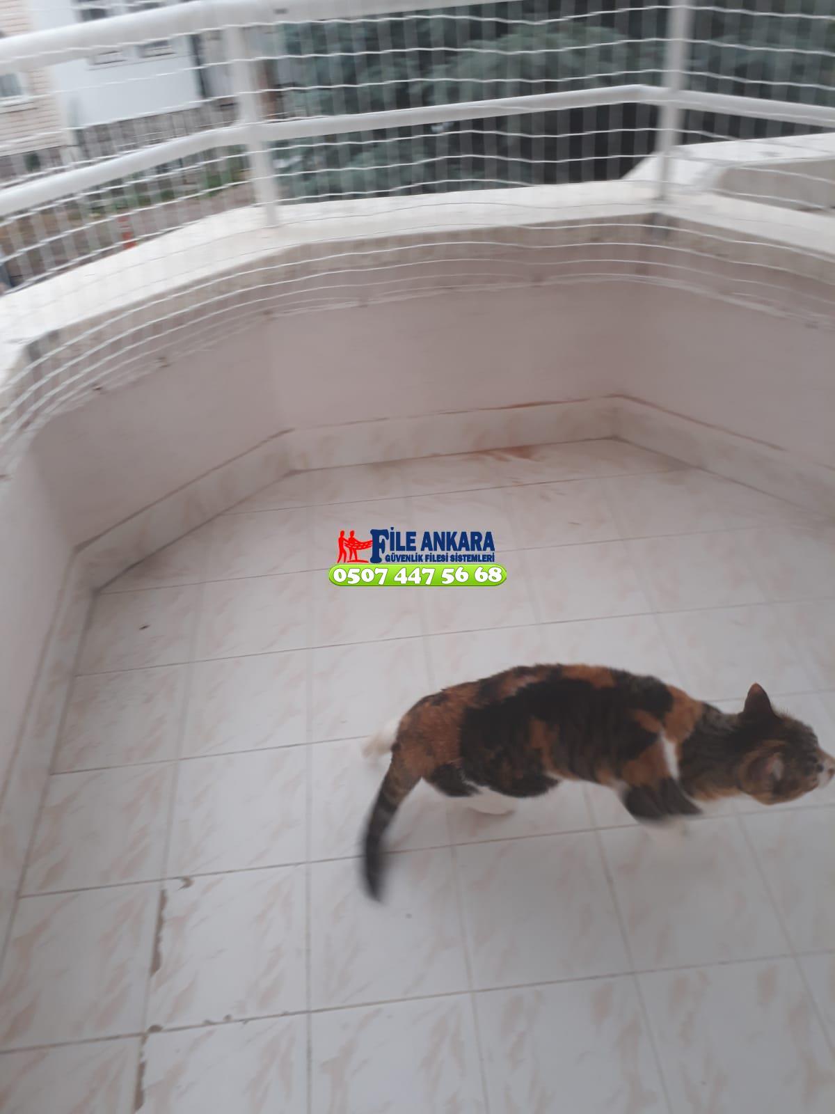 Ankara İncek Kedi Balkon Filesi Ankara 0507 073 06 58