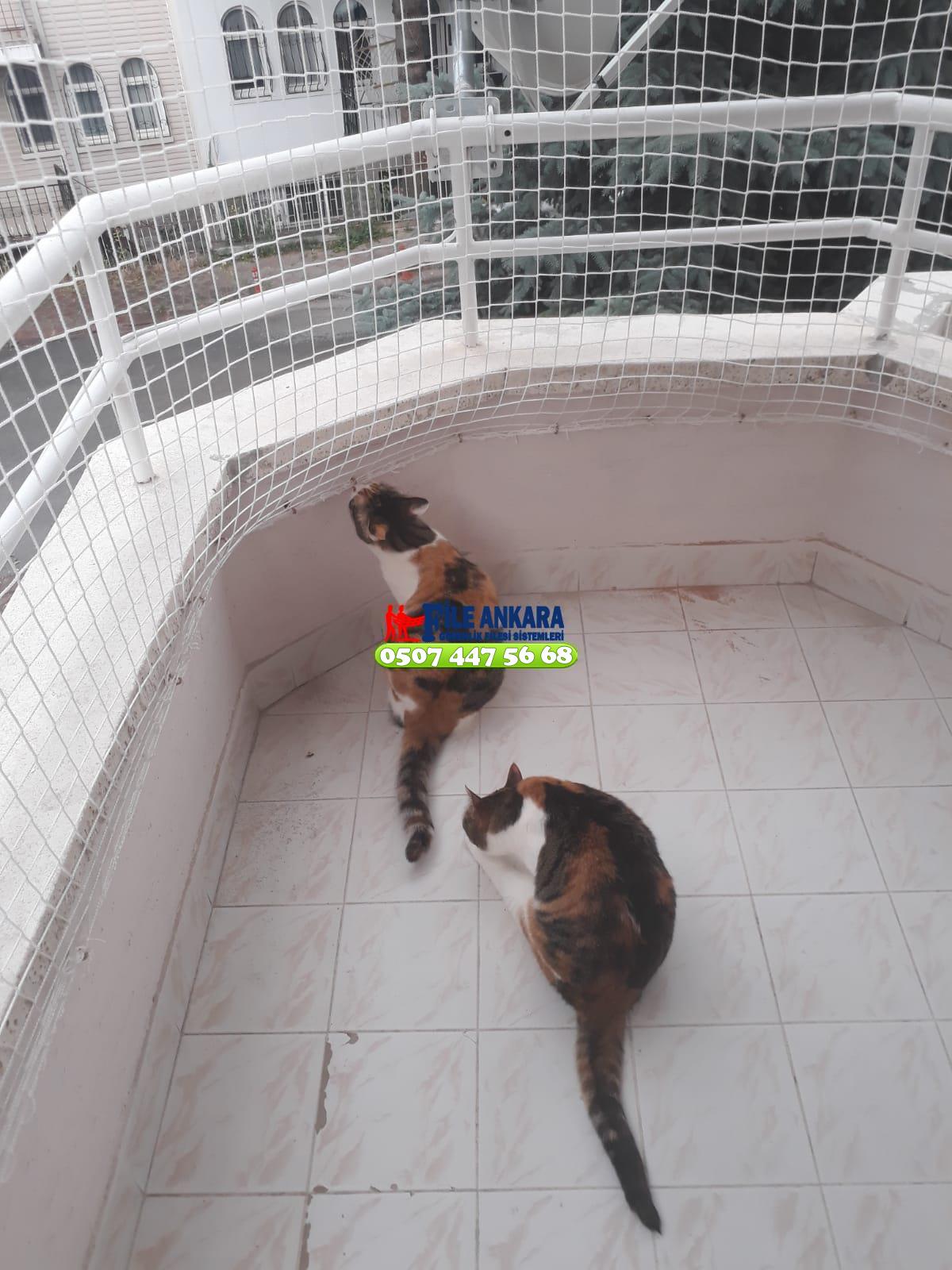   Kedi Balkon Filesi Ankara 0507 447 56 68