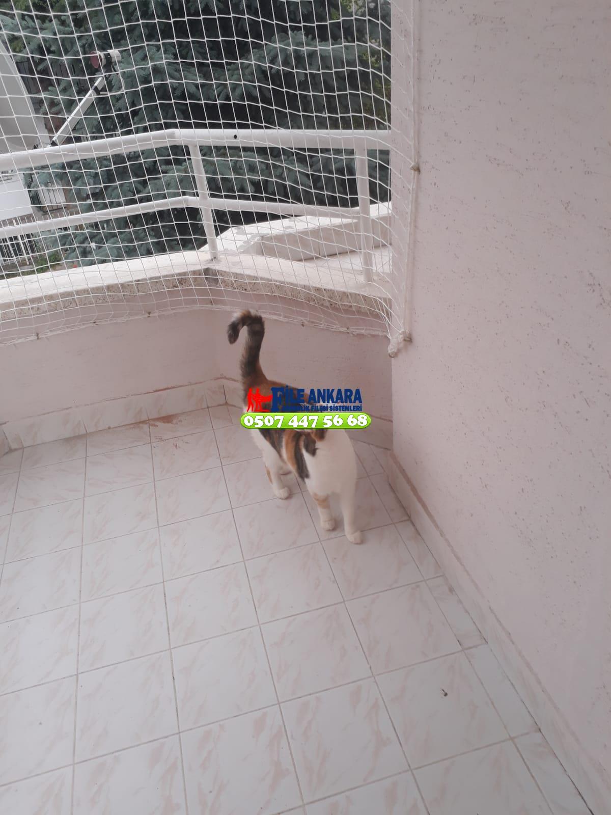   Kedi Balkon Filesi Ankara 0507 447 56 68