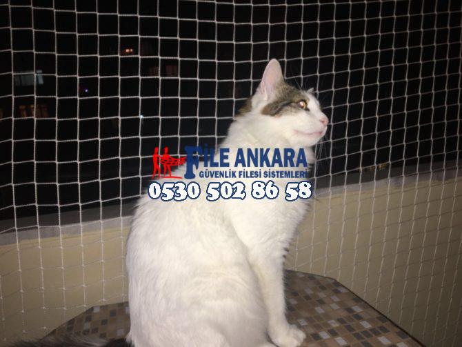 Kedi Koruma Filesi Evcil Hayvan Filesi 0507 073 06 58